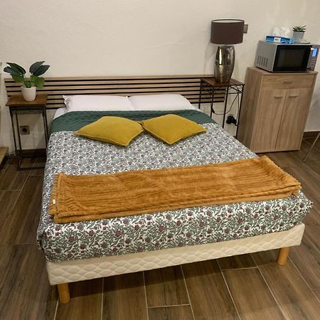 Studio 25M2 En Plein Coeur De Perpignan Buitenkant foto