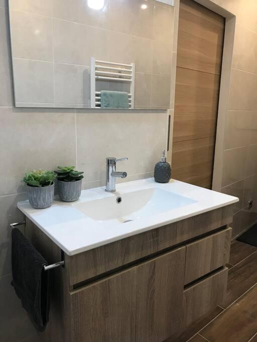 Studio 25M2 En Plein Coeur De Perpignan Buitenkant foto