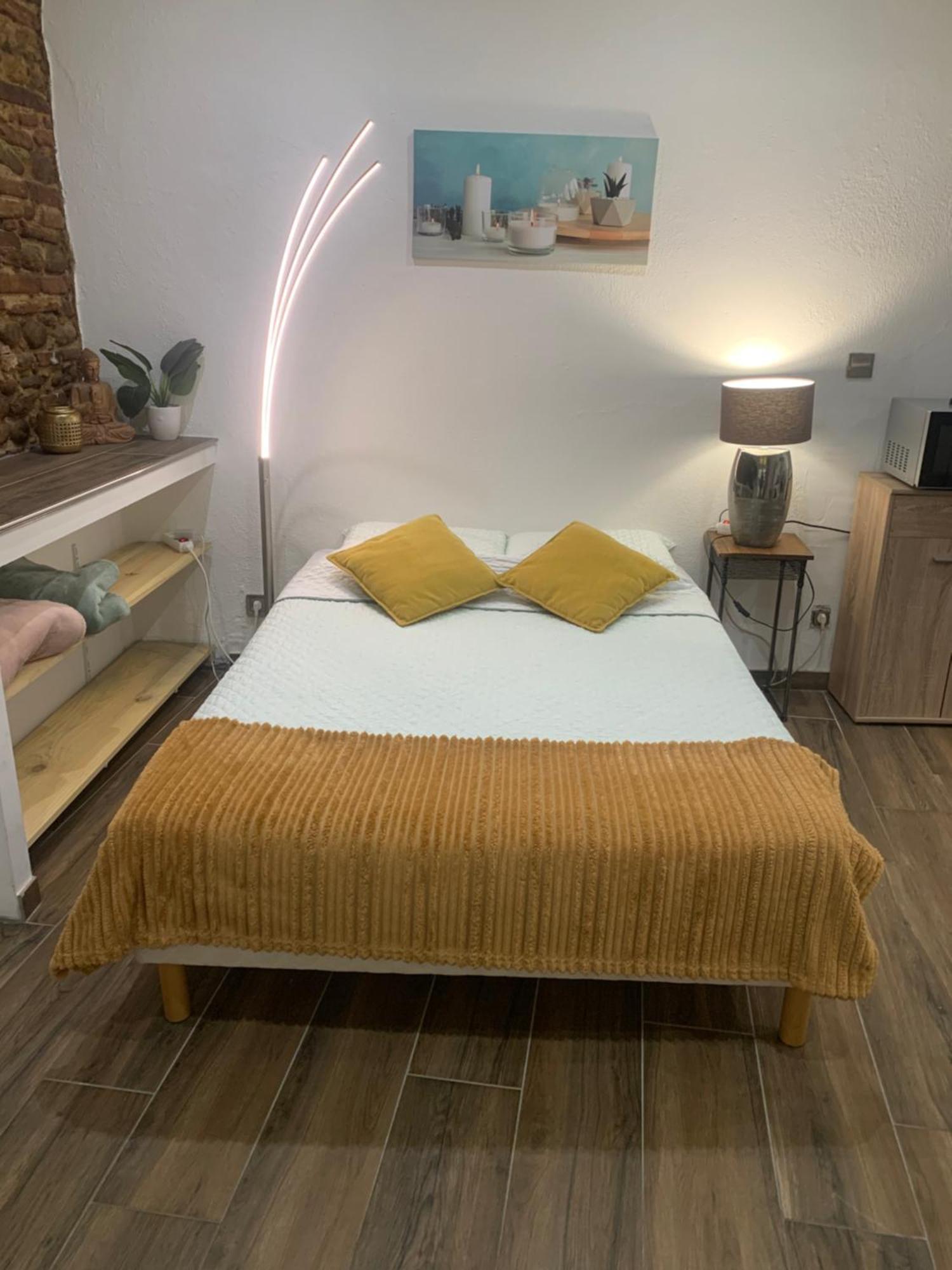 Studio 25M2 En Plein Coeur De Perpignan Buitenkant foto